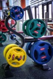 Стойка для олимпийских дисков Aerofit Impulse SL7010
