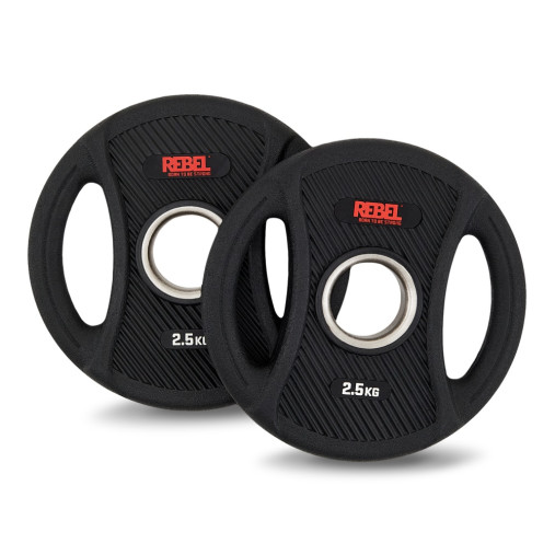 Диск олимпийский обрезиненный с двумя хватами 2,5 кг REBEL Диск олимпийский обрезиненный с двумя хватами 2,5 кг REBEL
