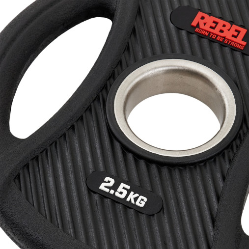 Диск олимпийский обрезиненный с двумя хватами 2,5 кг REBEL Диск олимпийский обрезиненный с двумя хватами 2,5 кг REBEL