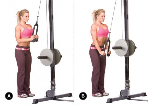 Гибкая тяга (канат) для трицепса Body-Solid TR20