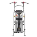 Подтягивание / отжимание с помощью Hoist HD-3700