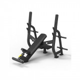 Spirit SP-4210 Олимпийская скамья для жима под углом