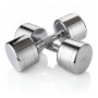 Гантель хром 10 кг (2 штуки) VictoryFit VF-CR100-2