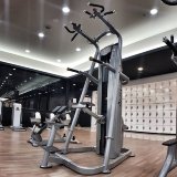 Hoist RS-1700 Гравитрон (турник с противовесом) platinum