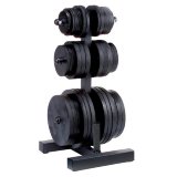 Стойка для олимпийских дисков (Ø50) Body-Solid WT46 