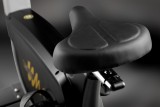 Hasttings Wega S300 Велотренажер вертикальный