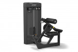 Spirit SP-4310 Разгибание спины 