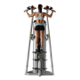 Подтягивание, отжимание с помощью, на прямых ногах. Гравитрон HOIST ROC-IT RS-1700 черный
