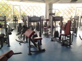 Бицепс AeroFIT Impulse Techno IT9303